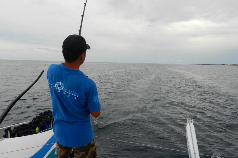 Raiatea 82 ft catamaran sailing along turquoise Riviera Maya coastline on day tour from Puerto Aventuras