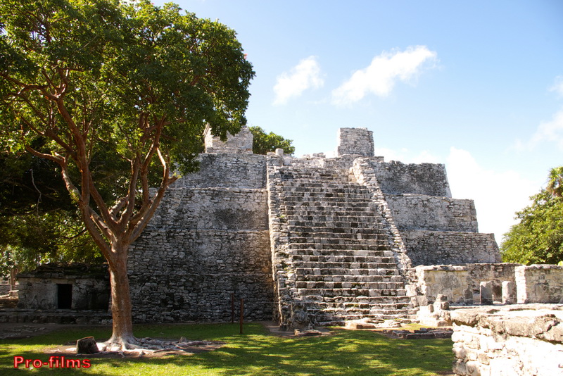 Stone stepped pyramid of the El Meco Maya ruins near Cancun, shaded by a large tree under a blue sky, visited on the Dancer cruise