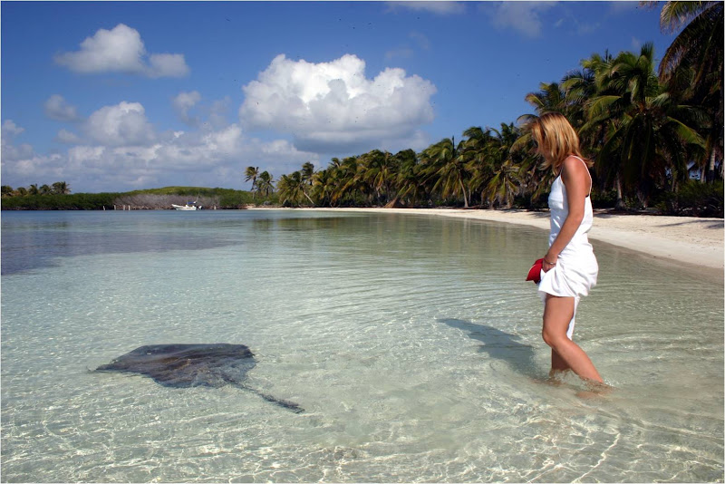 Woman in a white dress walking the shallows of a palm-fringed Contoy beach as a stingray glides through the clear water beside her