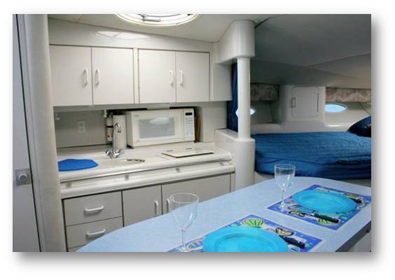 Sport boat charter at Puerto Aventuras marina Riviera Maya snorkeling and fishing private rental