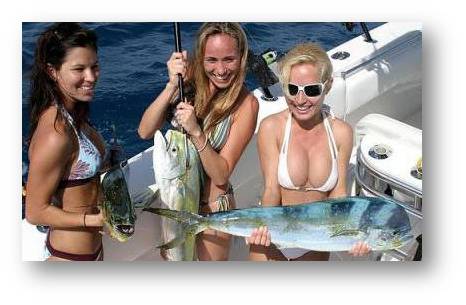 Puerto Aventuras marina boat charter Riviera Maya turquoise Caribbean sightseeing snorkeling trip