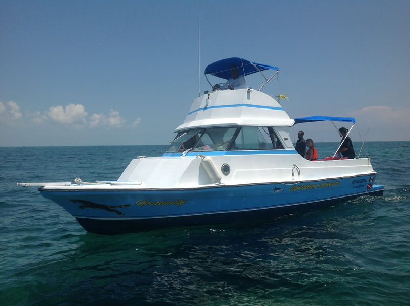 Isla Mujeres on a private island tour from Cancun